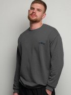 свитшот мужской