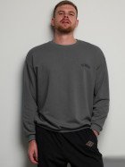 свитшот мужской