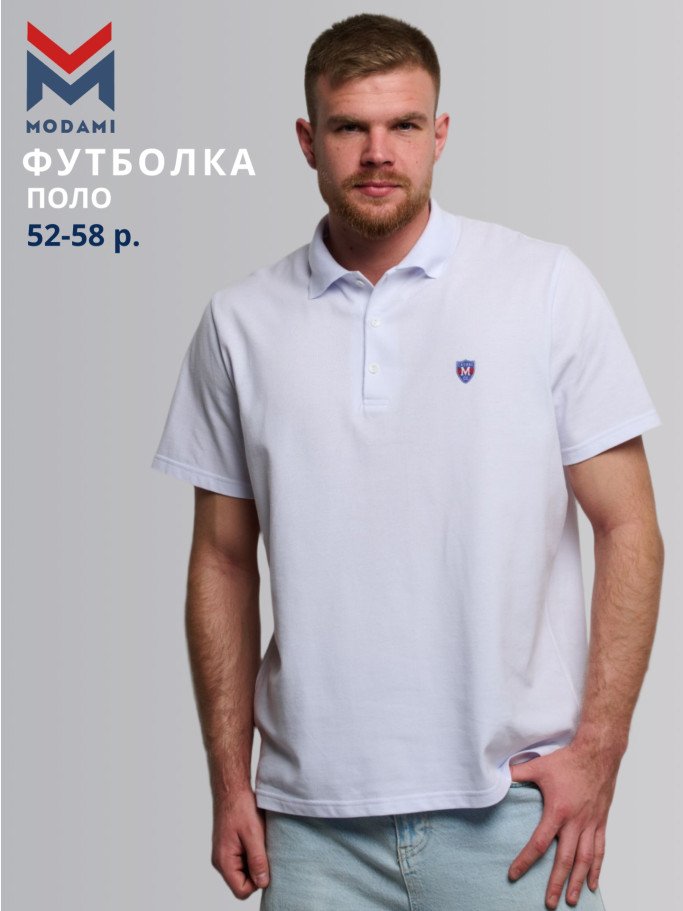 футболка поло мужская 2955-01