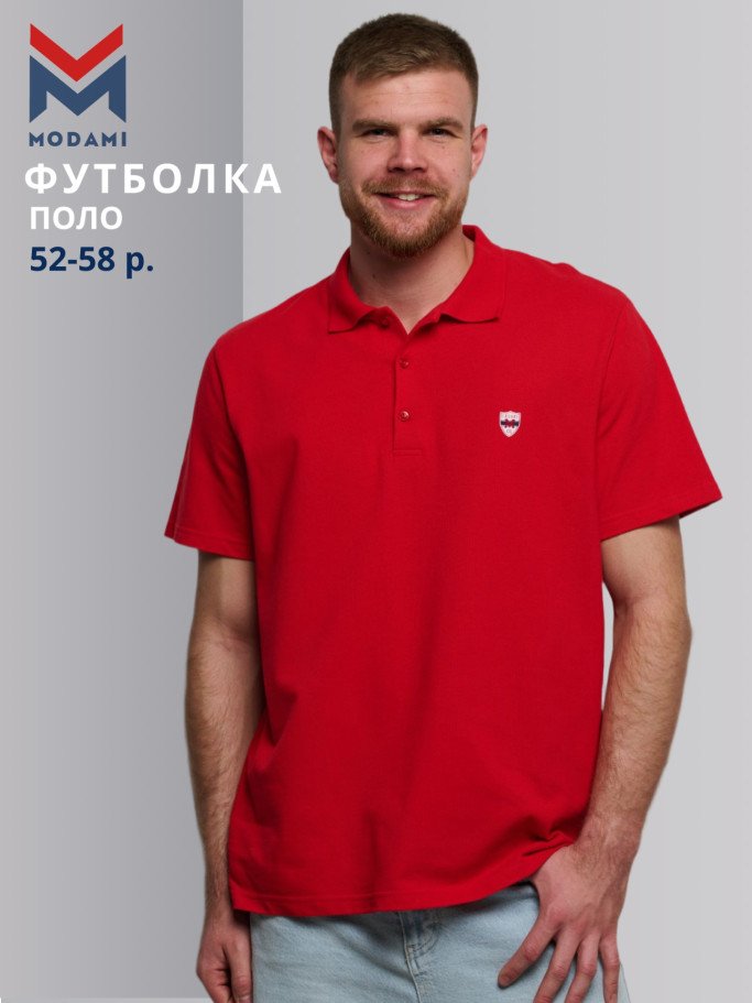 футболка поло мужская 2955-05