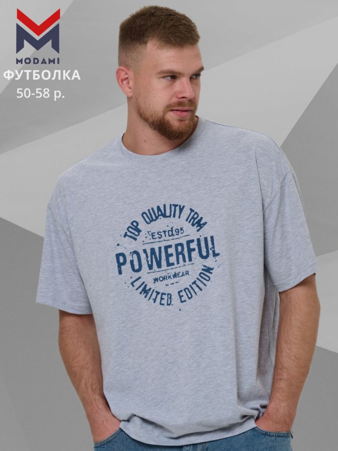 футболка мужская 2976-03