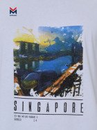 футболка мужская